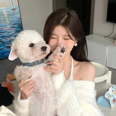 鸡毛梦想