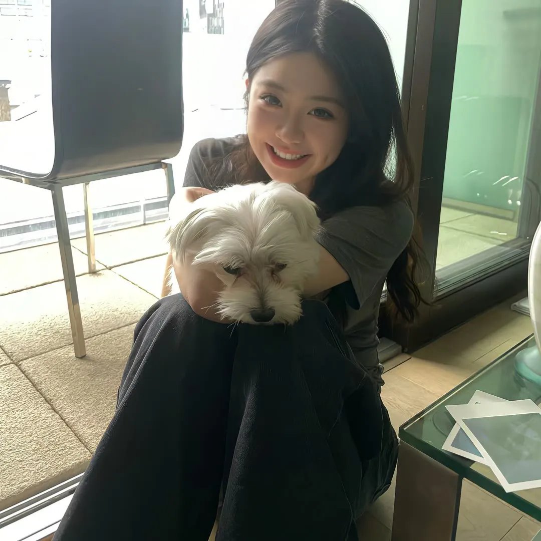大明星醒目狗